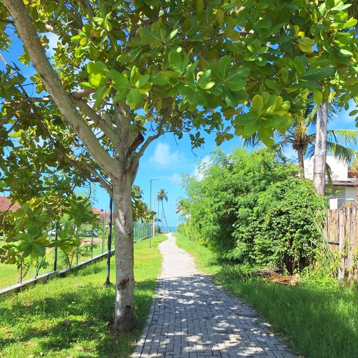 Flat Em Muro Alto-Porto De Galinhas-Makia Beach Experience Exterior photo